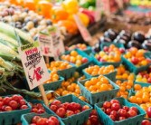 華美七號柑橘樹苗價格多少？2023年最新市場行情解析