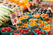華美七號柑橘樹苗價格多少？2023年最新市場行情解析