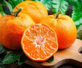 2023年優質好吃柑橘苗多少錢一棵呢？最新品種推薦及購買指南