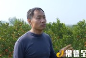 澧縣柑橘種植技術培訓_湖南的物產有哪些全國之最