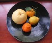 沃柑真有幾十個品種嗎視頻講解（沃柑品種簡介及口感）