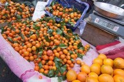 柑橘收購商_果樹下適合養殖什么