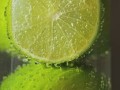柑橘夏季管理技術及打藥視頻（柑橘全年打農藥技術）