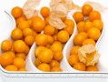 沃柑成熟期一般多久（沃柑成熟季節是幾月份）