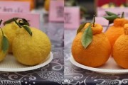 廣東柑橘脫毒基地_我國柑橘繁殖技術有哪些變化