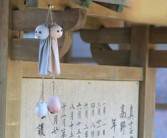 廣西沃柑苗基地電話多少號（廣西哪里有沃柑苗出售）
