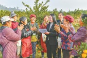 武勝柑橘種植技術_四川南充市嘉陵區有多少鎮