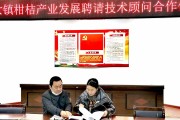 綠色柑橘種植技術_柑橘樹如何嫁接