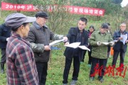 受凍后柑橘病蟲(chóng)害情況_柑橘凍害快速恢復(fù)的方法