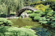 探秘嶺南特色產業——新會柑種植基地的生態化發展之路 探秘嶺南特色產業——新會柑種植基地的生態化發展之路
