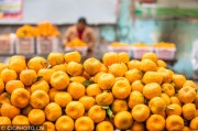 畢節柑橘種植技術_你的家鄉最出名的地理標志農產品是什么
