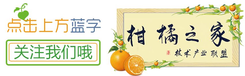 沃柑皮上有黑點是怎么回事（沃柑皮里面發(fā)黑是怎么回事）