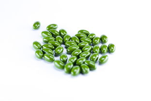 沃柑實生苗幾年掛果好一點(沃柑苗種植多久能成活)