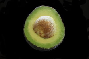 沃柑籽能發(fā)芽嗎怎么養(yǎng)(沃柑的種子可以發(fā)芽嗎)