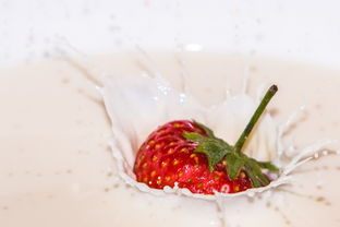 100純甜金桔哪個品種(純甜的金桔)