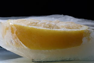 柑橘疾病數(shù)據(jù)集(柑橘常見(jiàn)疾病)