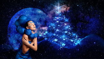 柑橘樹根系怎么更換視頻（柑橘的根系如何吸收養分）