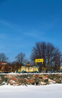 蜜桔樹冬季管理技術視頻(蜜桔樹苗)