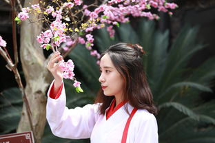 沃柑種子怎么發芽不嫁接幾年結果（沃柑用種子種什么時候能長果?）