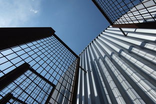 清江椪柑多少錢1箱(清江椏柑多少錢一斤)