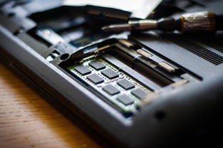 柑橘高產優質栽培技術要點有哪些方面問題(柑橘高產優質栽培技術要點有哪些方面問題)