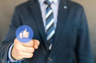 陳皮橘子皮有什么區(qū)別呢(陳皮橘子皮的區(qū)別)