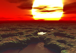 新會柑第一年修剪施肥防病蟲害(新會柑全年病害和蟲害防治和管理)