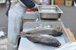 魚內臟可以增加柑橘甜度嗎視頻（魚內臟魚肝可以吃嗎）