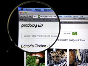 柑橘宣傳視頻文案怎么寫（柑橘推銷產品的廣告詞）