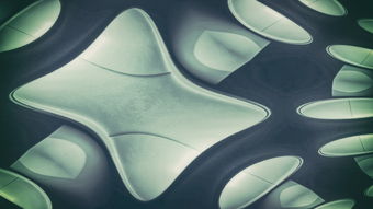 柑橘甜菜夜蛾危害(甜菜夜蛾圖片 成蟲)