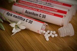 柑橘苗春天能修枝嗎(柑橘樹春天要剪枝嗎)