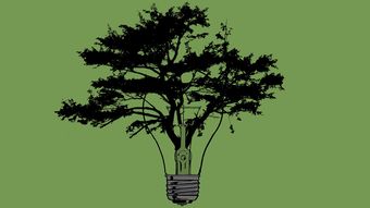 橘子樹苗種植方法技術視頻（橘子樹的種植技術）