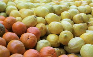 柑橘樹噴藥正確方法(柑橘樹用什么農藥好)