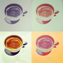 柑橘樹脂病用什么殺菌劑好(柑橘樹脂病用什么殺菌劑好一點)