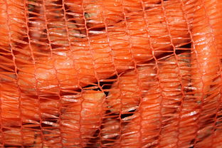 耙耙柑幾年后前景(耙耙柑產(chǎn)量如何)