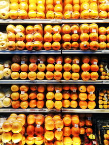 桔子套袋技術視頻教程(橘子套袋視頻教程)