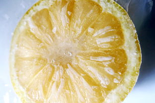 桔柑再生產(chǎn)品有哪些種類(柑橘的生產(chǎn)條件)