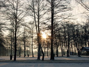 柑橘砧木選擇的關(guān)鍵因素與區(qū)域適應(yīng)性評價(jià)研究