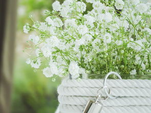 怎么讓盆栽沃柑多結(jié)果(沃柑怎樣管理才結(jié)果快)