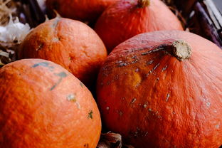 尋烏蜜桔多少錢一斤(尋烏蜜桔多少錢一斤價格)