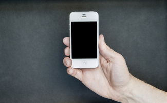 有人收購(gòu)沃柑嗎(收購(gòu)沃柑老板聯(lián)系電話)