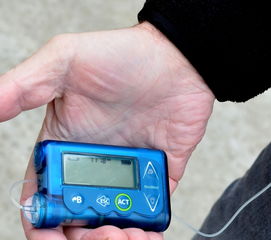 晚熟柑橘修枝技術管理視頻(晚熟柑橘修枝技術管理視頻教學)