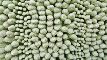 柑橘限根栽培技術有哪些方法（柑橘的栽培管理技術小測驗）