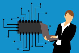 柑橘冬季管理技術要點什么內容要求(柑橘過冬應采取措施)