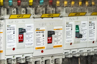 柑橘苗種植技術管理技術視頻(柑橘種植技術與管理視頻)