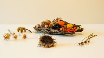 柑橘鳳蝶怎么結繭（柑橘鳳蝶的防治方法）