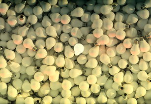 沃柑含有呋喃香豆素嗎為什么(沃柑有農藥嗎)