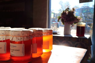 柑橘鄉華寧盤溪:醉美滇南橘香秘境與田園豐收畫卷