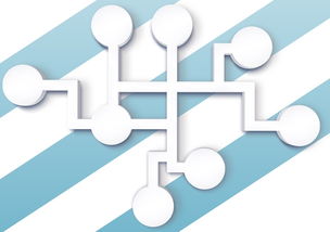 柑桔管理方法技術要點什么(柑桔管理方法技術要點什么內容)