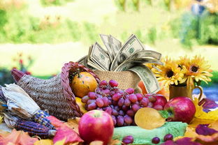 吃沃柑每天吃幾個好(沃柑天天吃對身體有危害嗎)